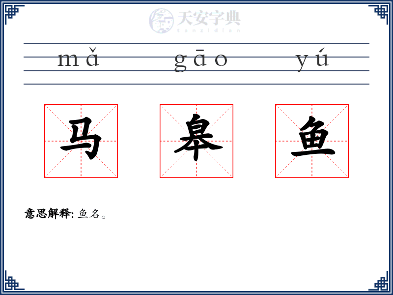 马皋鱼