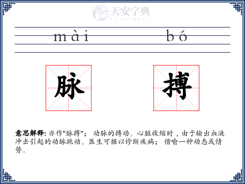 脉搏