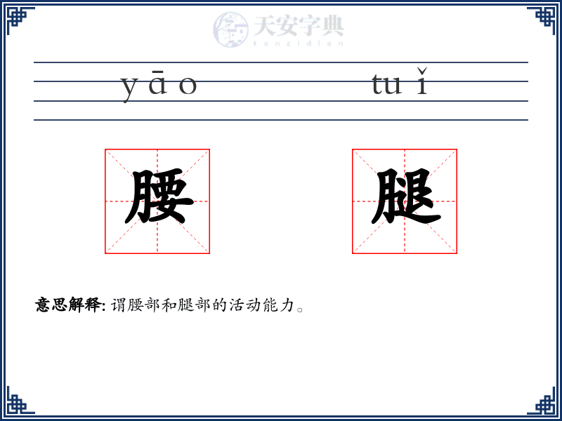 腰腿
