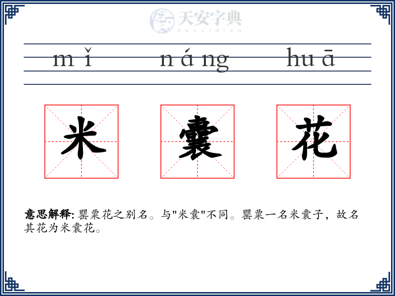 米囊花