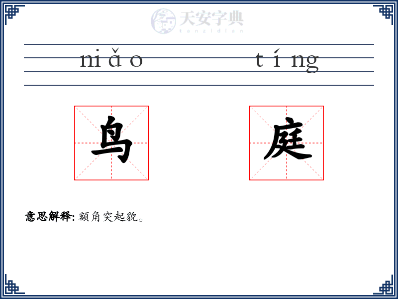 鸟庭
