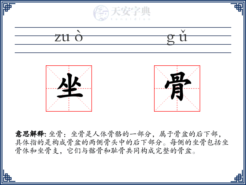 坐骨