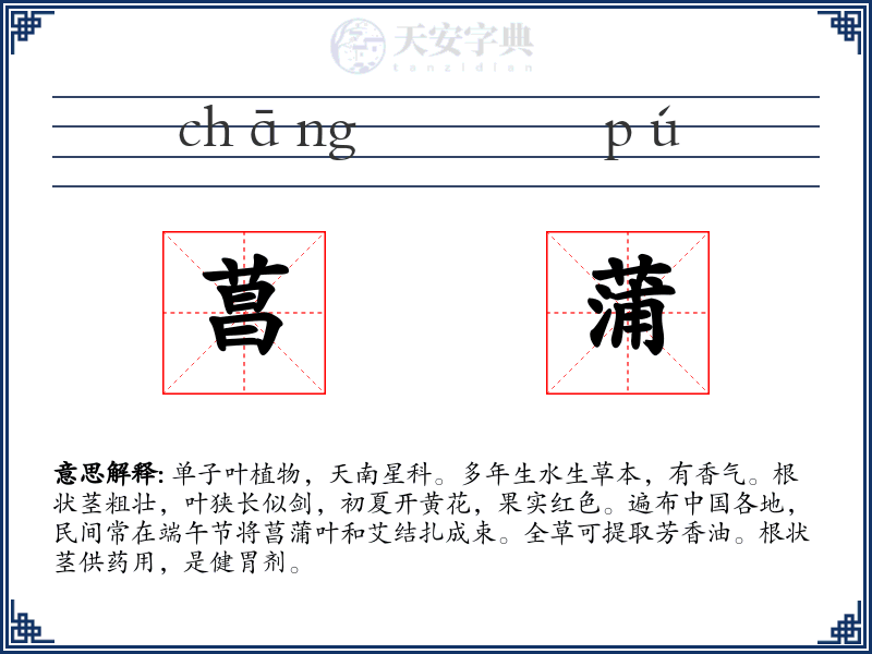 菖蒲