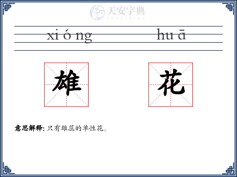 雄花