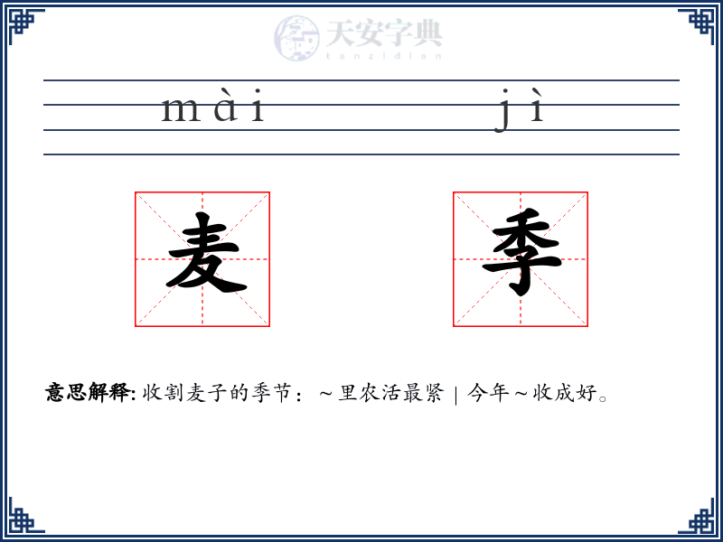 麦季