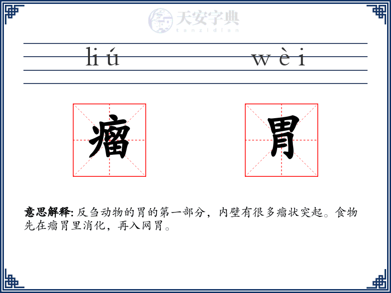 瘤胃