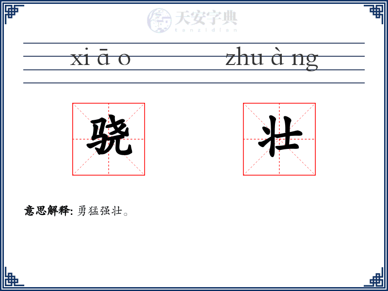 骁壮