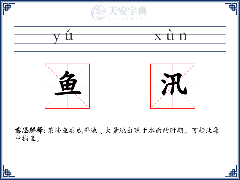 鱼汛