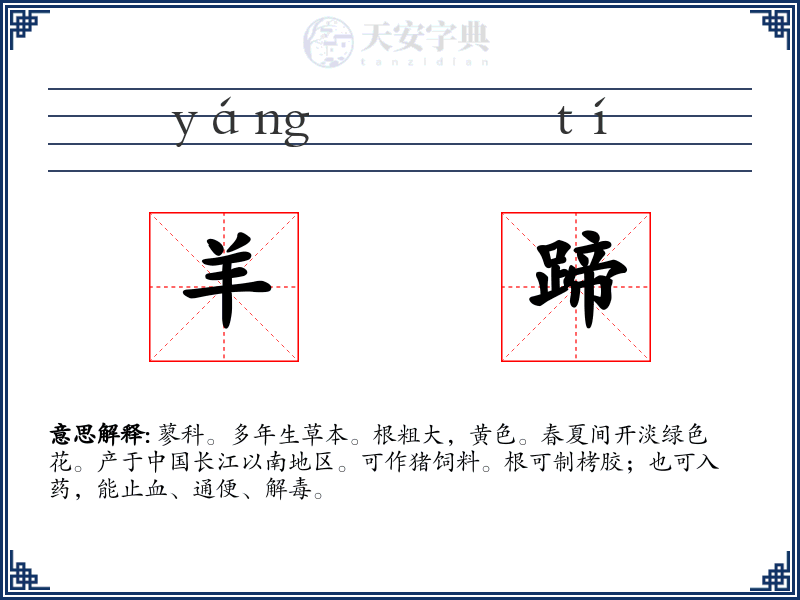 羊蹄