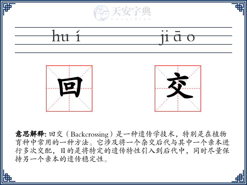 回交