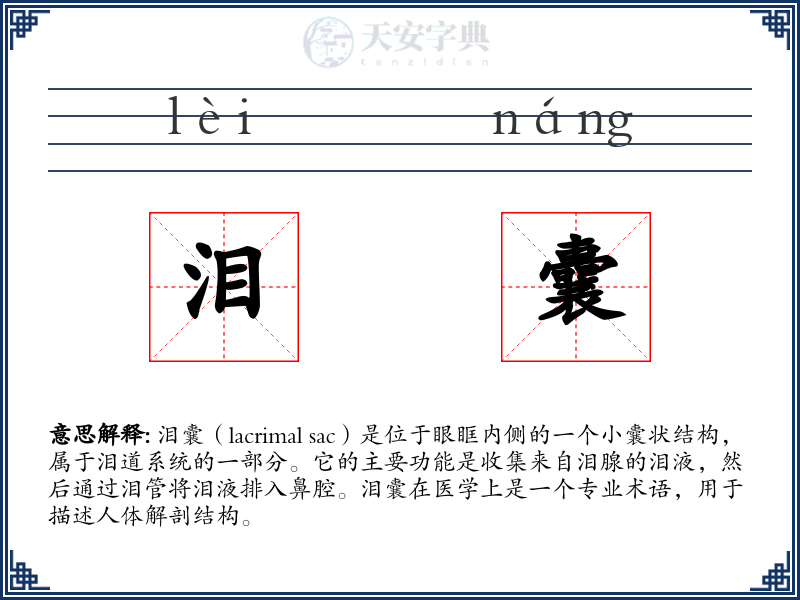 泪囊