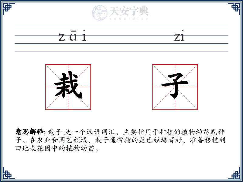 栽子
