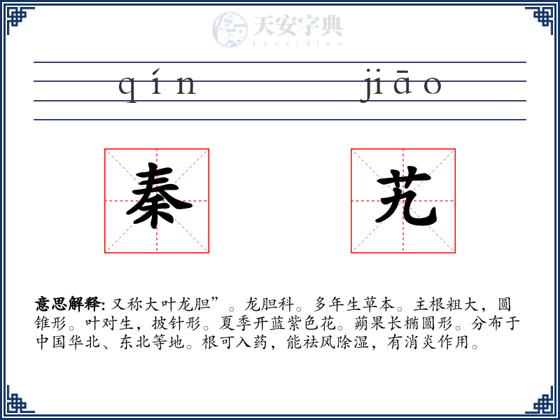 秦艽