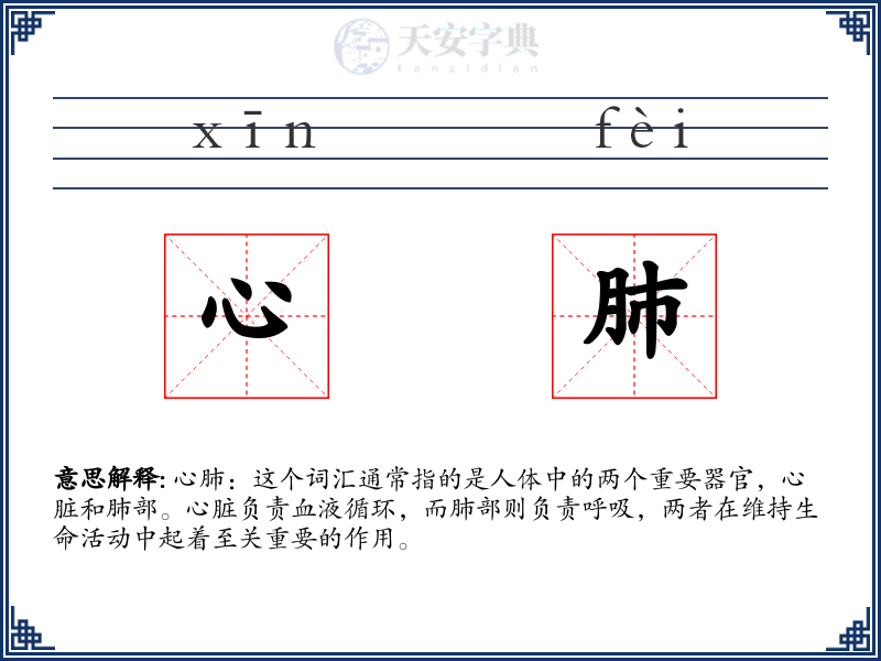 心肺