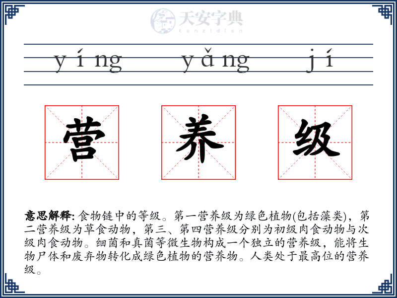 营养级