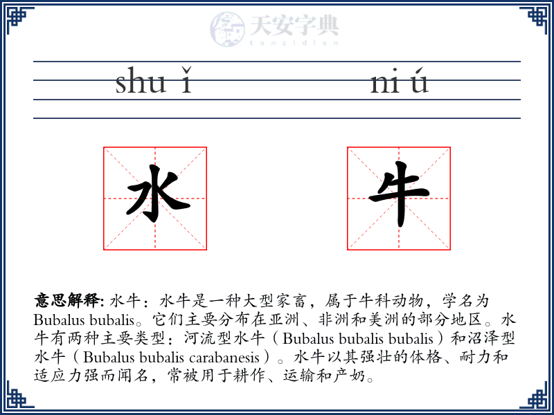 水牛
