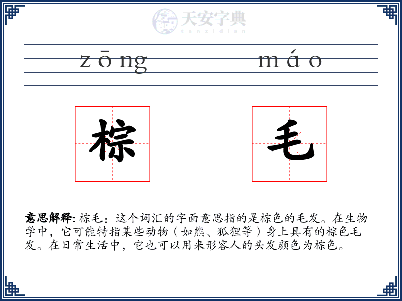 棕毛