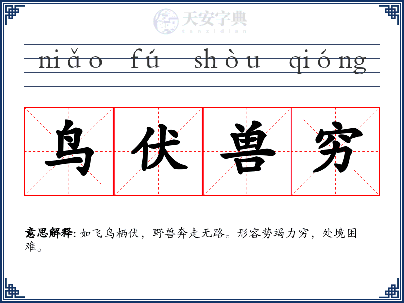 鸟伏兽穷