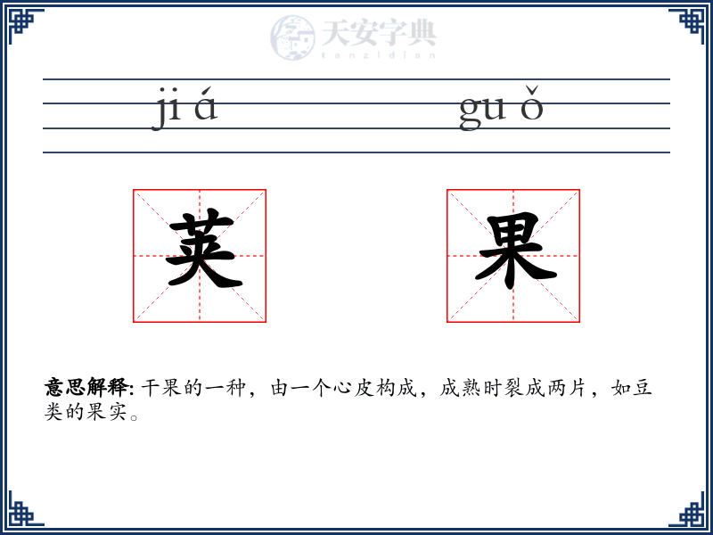 荚果