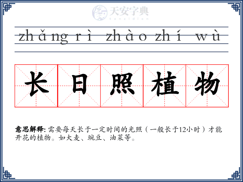 长日照植物