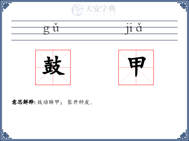 鼓甲