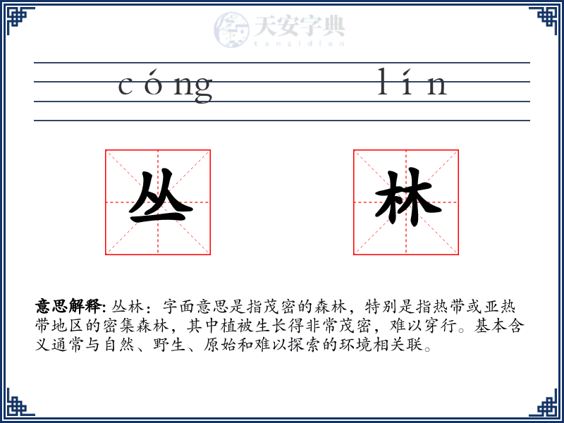 丛林