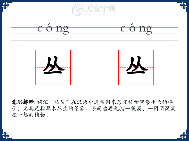 丛丛