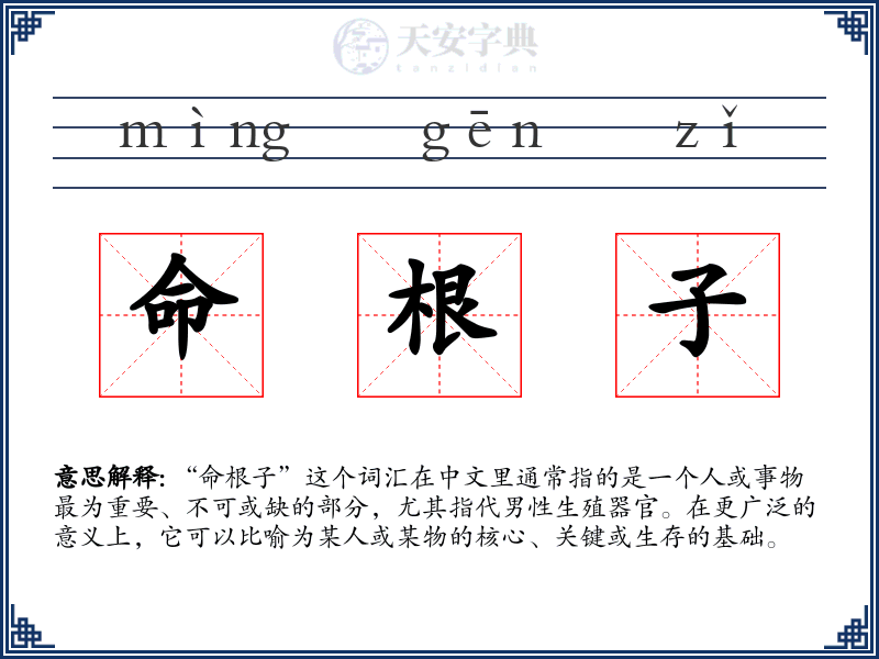 命根子