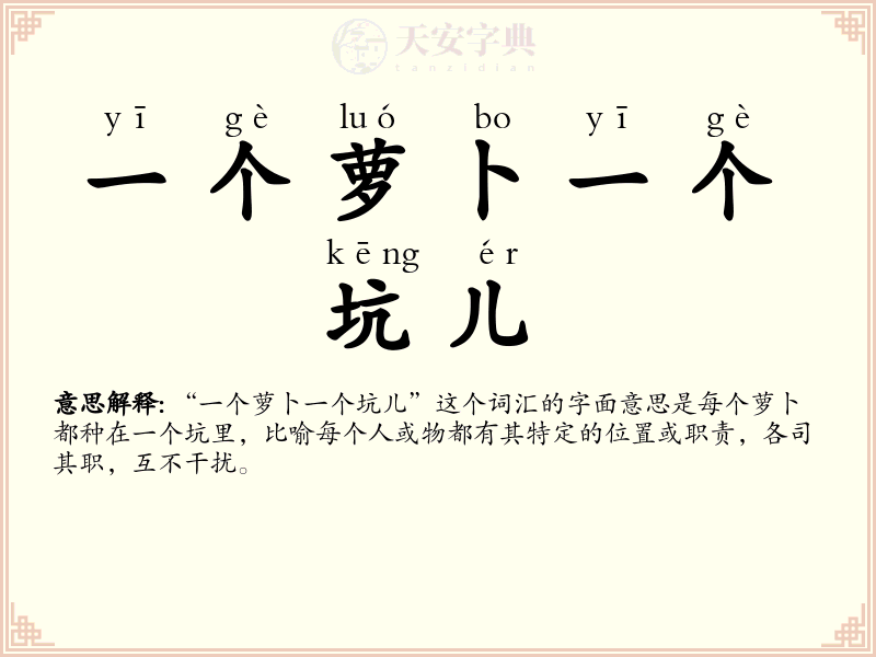 一个萝卜一个坑儿