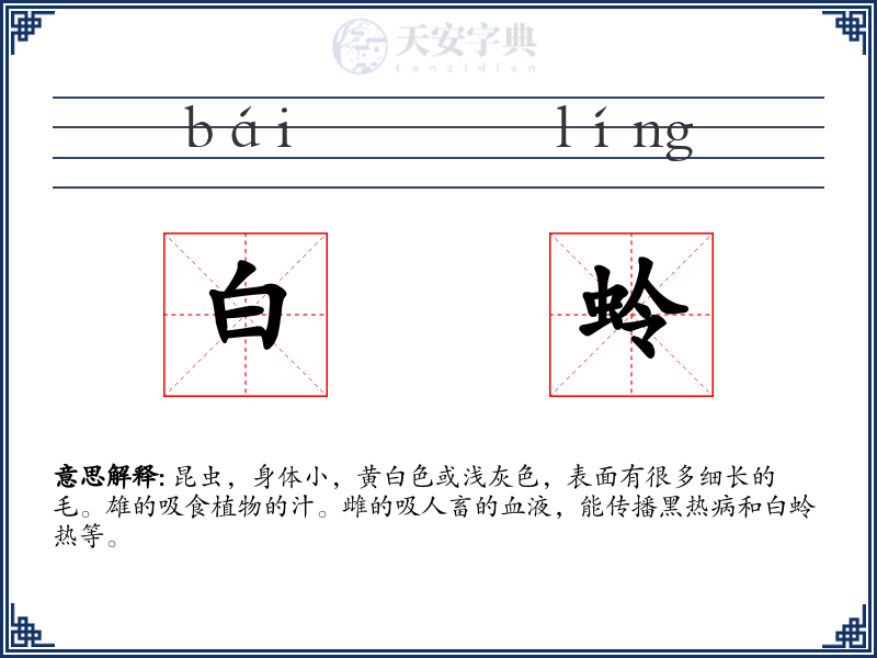白蛉