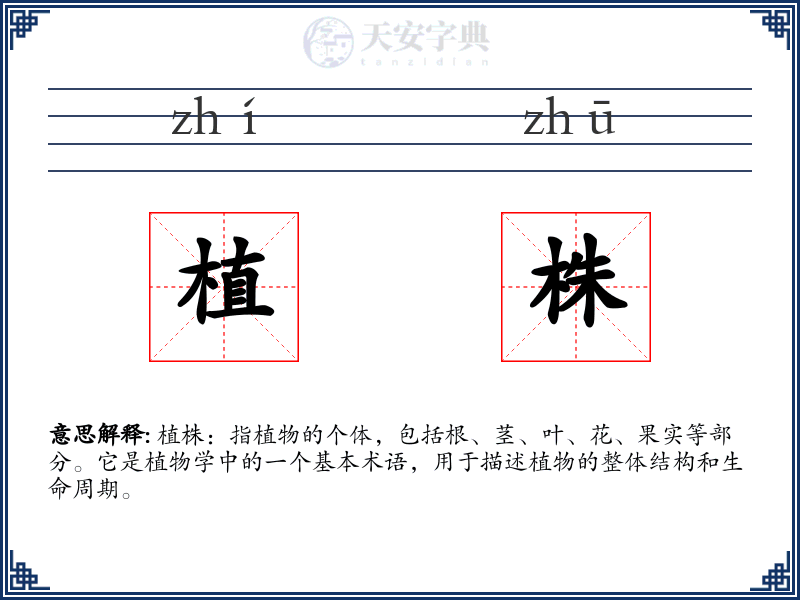 植株