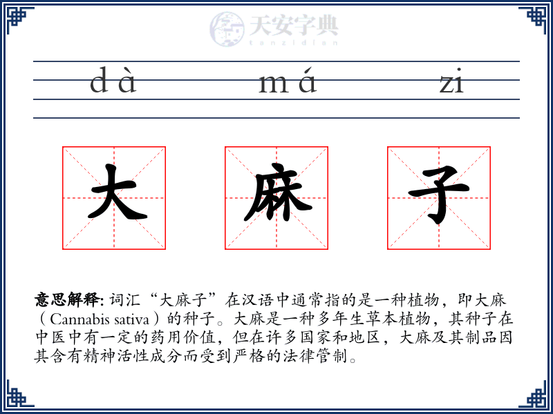 大麻子