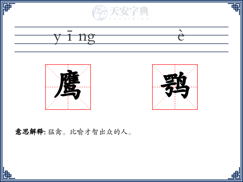 鹰鹗