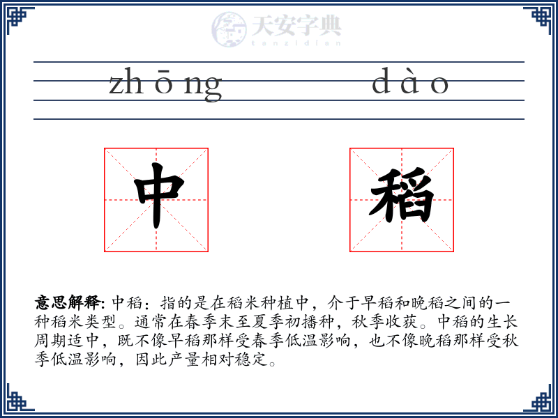 中稻