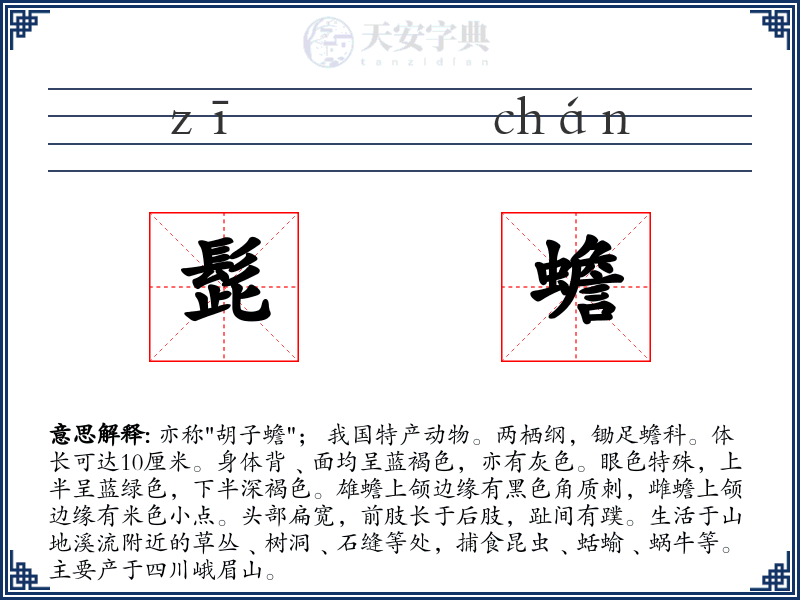 髭蟾