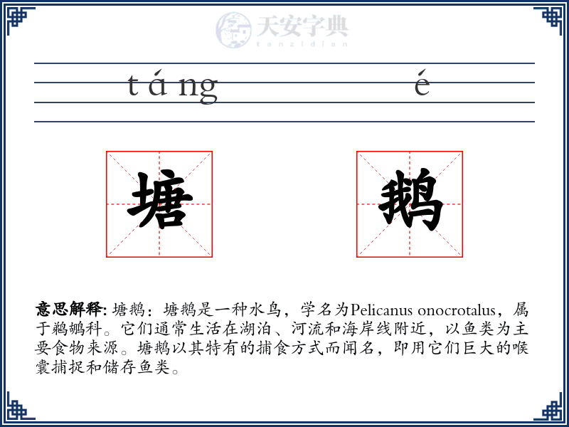 塘鹅