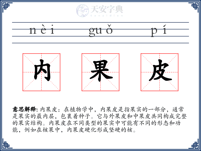 内果皮