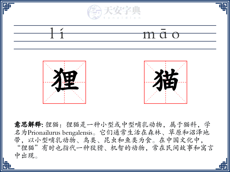 狸猫