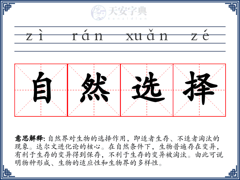 自然选择