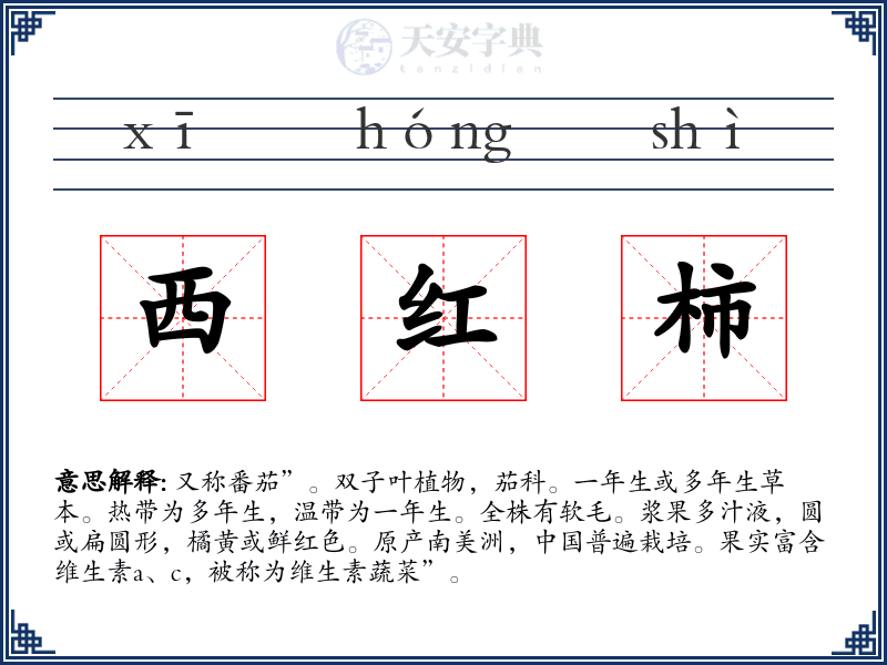 西红柿