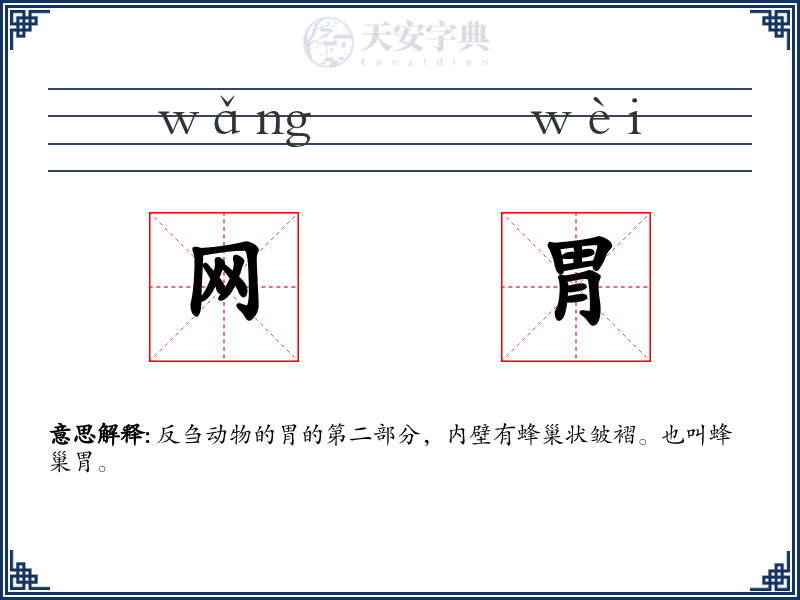 网胃