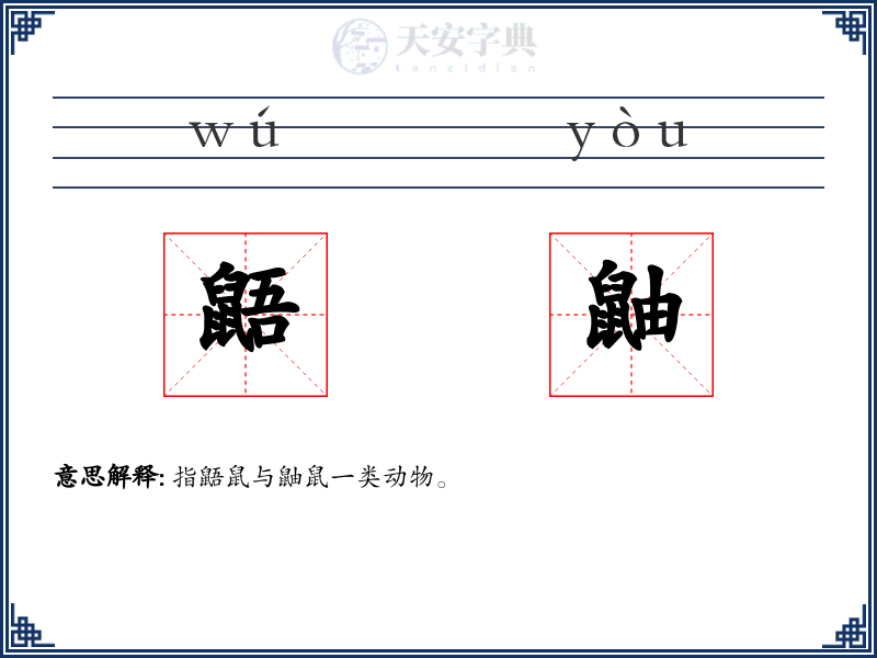 鼯鼬