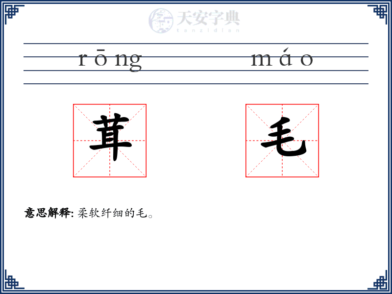 茸毛
