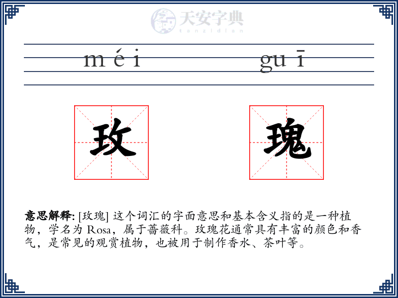 玫瑰