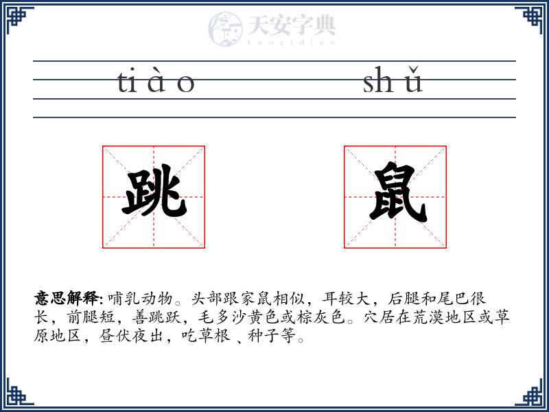 跳鼠