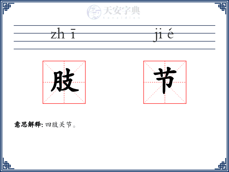 肢节