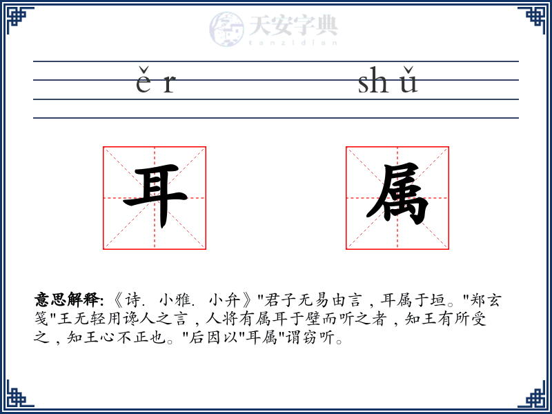 耳属