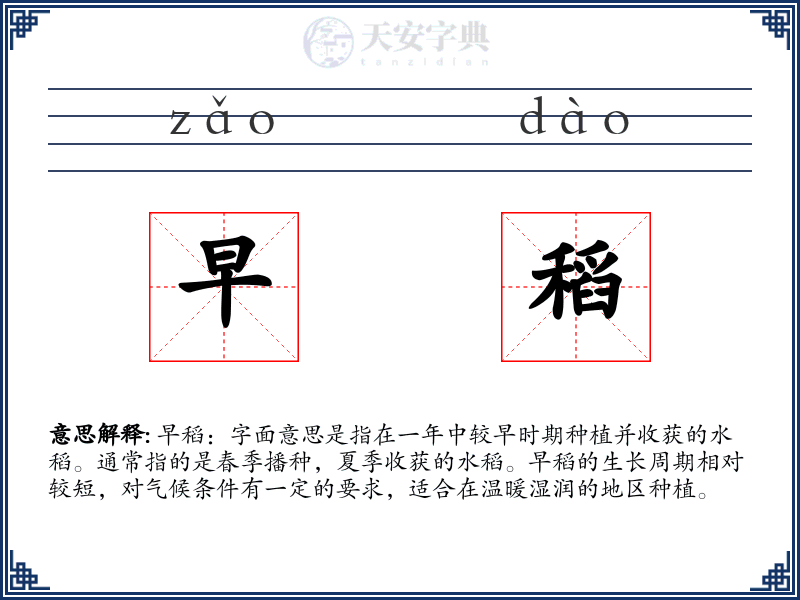 早稻