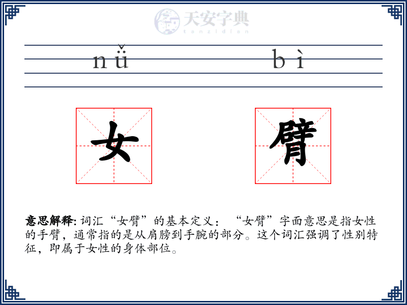 女臂