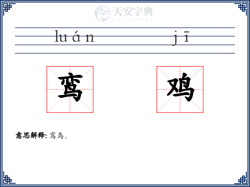 鸾鸡